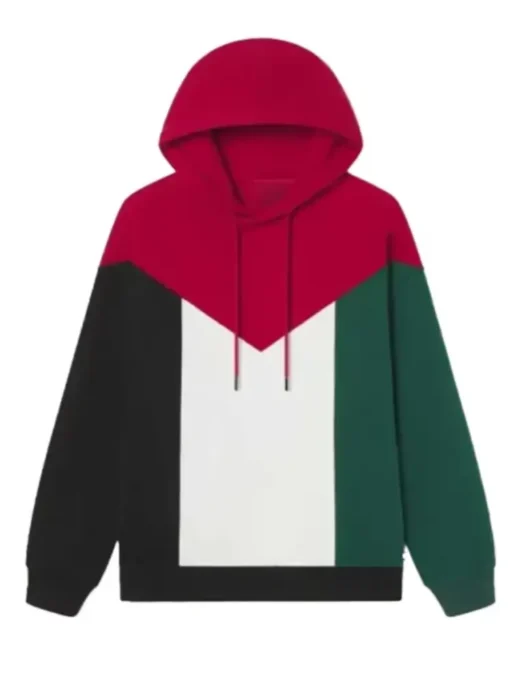 Palestine Flag Hoodie