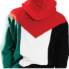 Palestine Hoodie