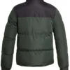 Men Blue and Green Nuptse Puffer Jacket Back