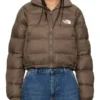 North Face Brown Hydrenalite Down Jacket