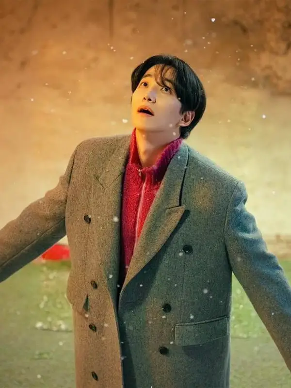 Typhoon Family Lee Jun Ho Grey Coat