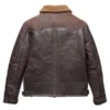 Jackson Shearling Leather Jacket back