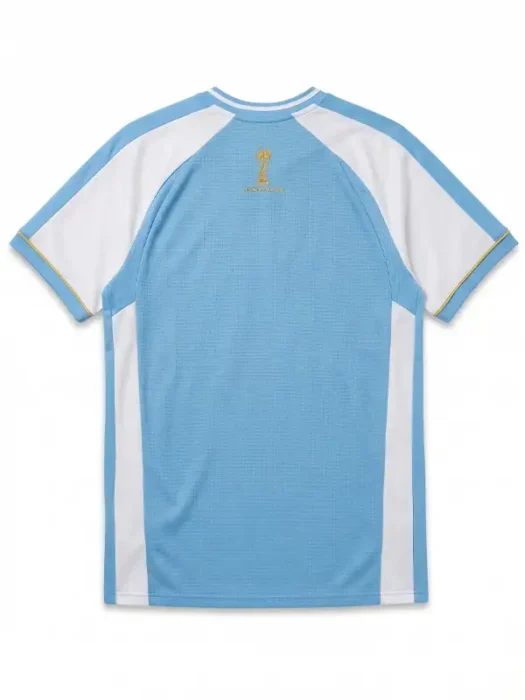 FIFA Argentina Soccer Jersey Back