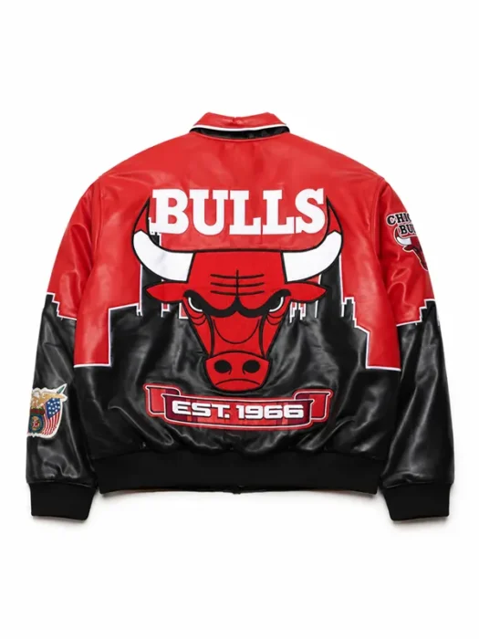 R&B Tour Usher Chicago Bulls Leather Jacket Back